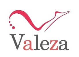 valeza logo - ヴァレッサに込めた想い